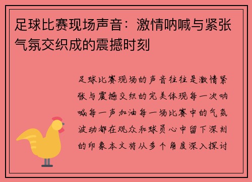 足球比赛现场声音：激情呐喊与紧张气氛交织成的震撼时刻