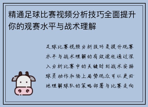 精通足球比赛视频分析技巧全面提升你的观赛水平与战术理解