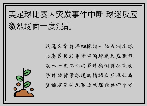 美足球比赛因突发事件中断 球迷反应激烈场面一度混乱