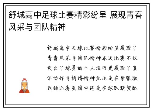 舒城高中足球比赛精彩纷呈 展现青春风采与团队精神