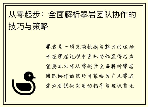 从零起步：全面解析攀岩团队协作的技巧与策略